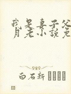 我是妻子父亲的月老小说免费阅读