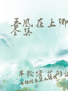 吾凰在上卿在下全集