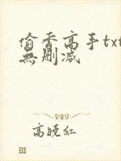 偷香高手txt无删减