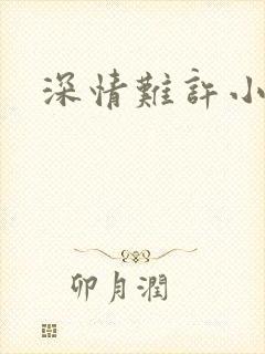 深情难许小说