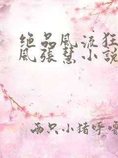 绝品风流狂医林风张慧小说完全版