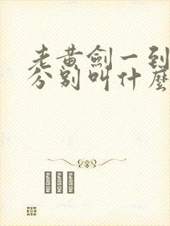 老黄剑一到剑九分别叫什么