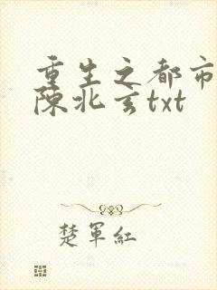 重生之都市修仙陈北玄txt