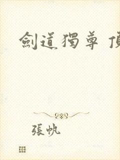 剑道独尊 顶点