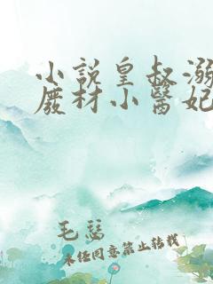 小说皇叔溺宠:废材小医妃免费