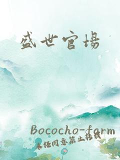 盛世官场