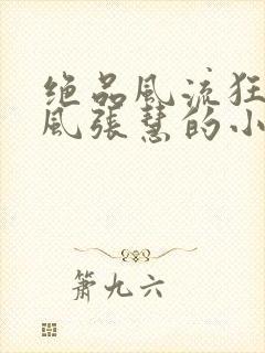 绝品风流狂医林风张慧的小说