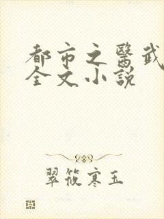 都市之医武风流全文小说