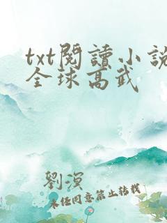 txt阅读小说全球高武