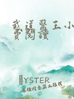 武道医王小说免费阅读