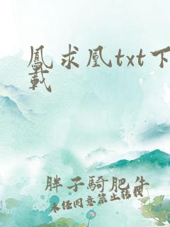 凤求凰txt下载