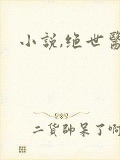 小说,绝世医妃