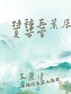 特种兵叶辰孙怡夏若雪