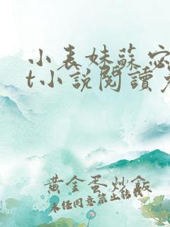 小表妹苏宓txt小说阅读免费
