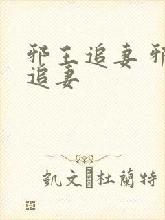 邪王追妻 邪王追妻