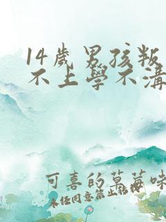 14岁男孩叛逆不上学不沟通