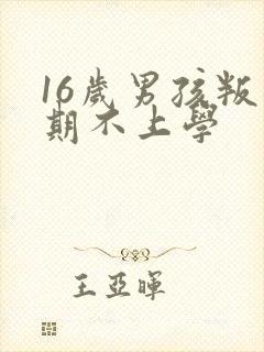 16岁男孩叛逆期不上学
