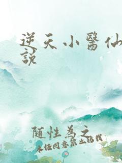逆天小医仙 小说