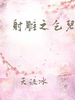 射雕之乞儿传说