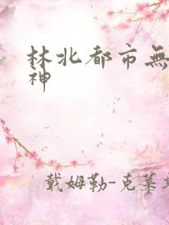 林北都市无敌战神