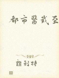 都市医武至尊