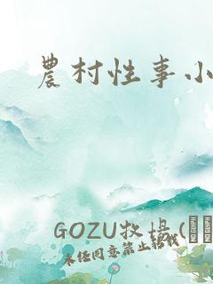 农村性事小说