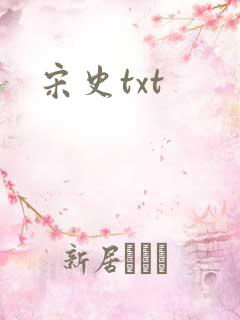 宋史txt