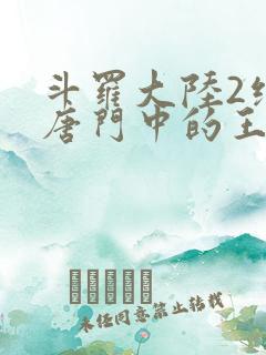 斗罗大陆2绝世唐门中的王冬