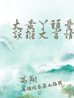 大黄丫头爱看小说推文言情