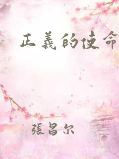 正义的使命小说