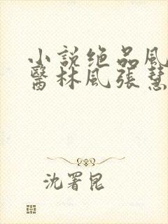 小说绝品风流狂医林风张慧全文免费阅读