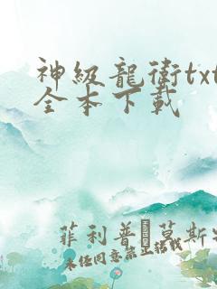神级龙卫txt全本下载