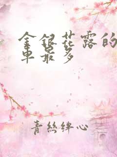 金银花露的哪个车最多