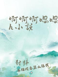啊啊啊嗯嗯嗯高h小说