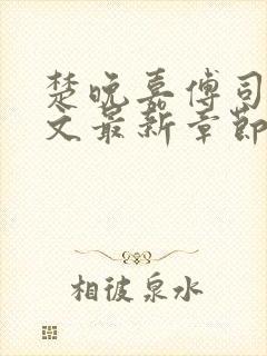 楚晚嘉傅司年全文最新章节免费阅读