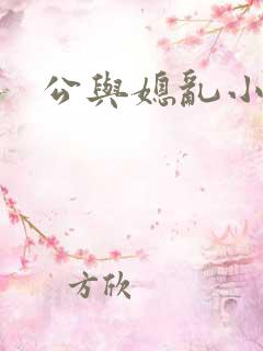 公与媳乱小说