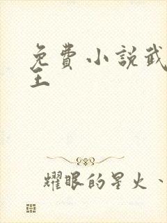 免费小说武道医王