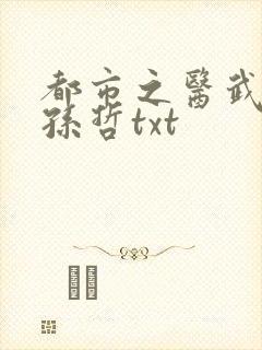都市之医武凡流孙哲txt