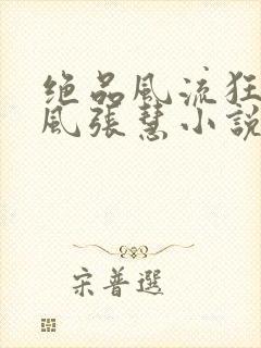 绝品风流狂医林风张慧小说追书