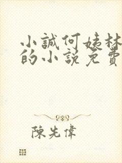 小诚何姨林琇芳的小说免费阅读