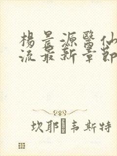 杨晨源医仙不风流最新章节在线阅读