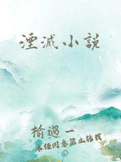湮灭小说