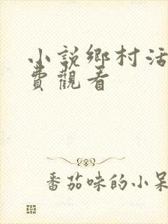 小说乡村活寡免费观看