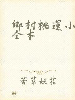 乡村桃运小神医全本