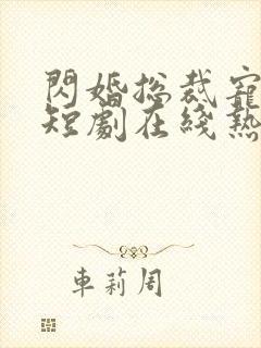 闪婚总裁宠上天短剧在线热播