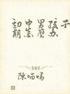 初中男孩子叛逆期怎么办