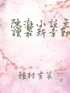 陈澈小说免费阅读最新章节无弹窗