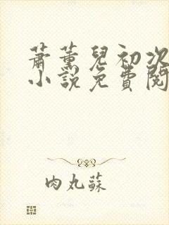 萧薰儿初次承欢小说免费阅读