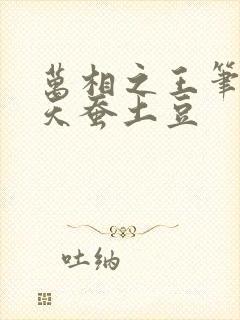万相之王笔趣阁天蚕土豆