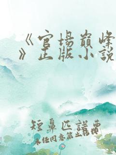 《官场巅峰李霖》正版小说